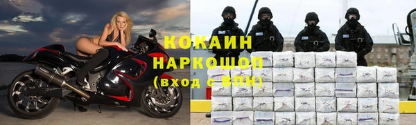 сатива Гусев