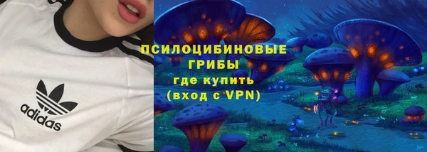 ECSTASY Гусиноозёрск