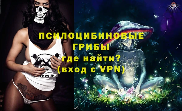 сатива Гусев