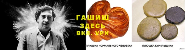 сатива Гусев