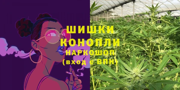 сатива Гусев