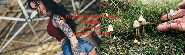 сатива Гусев