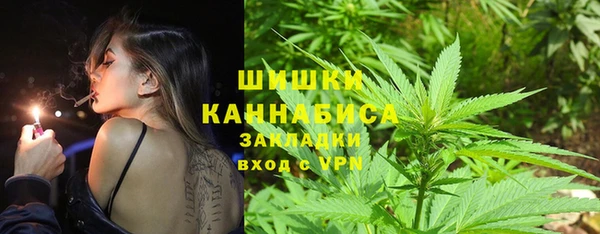 сатива Гусев