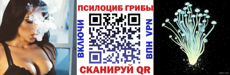 Псилоцибиновые грибы Magic Shrooms  Купить закладки  Лосино-Петровский 